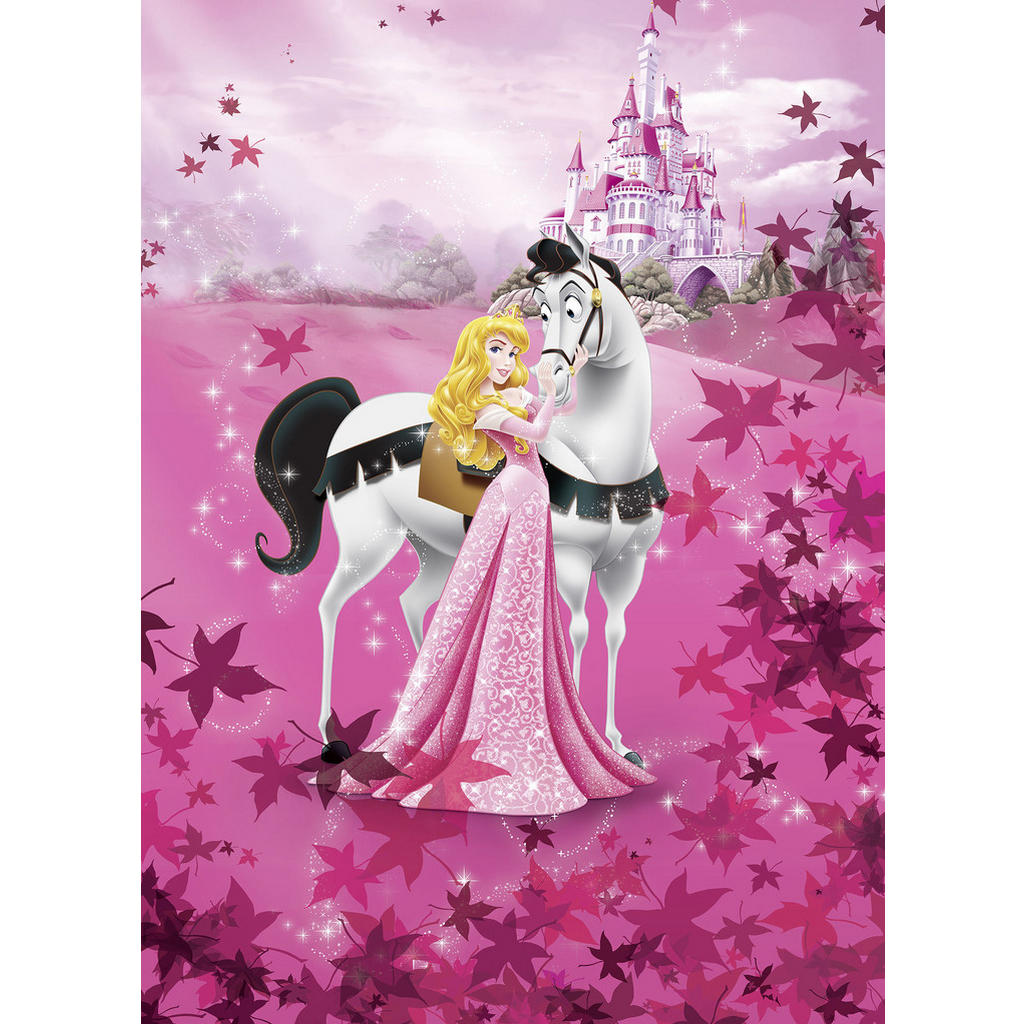 Disney FOTOTAPETA velikost: 184/254 cm Disney